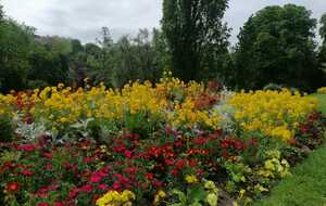 Parterre de fleurs au parc des Buttes Chaumont.