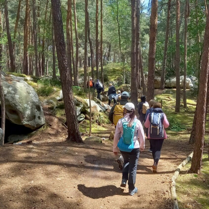 Sortie à Fontainebleau le 16/05/2026