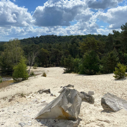 Sortie à Fontainebleau le 16/05/2026